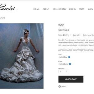 St Pucchi two piece Wedding dress